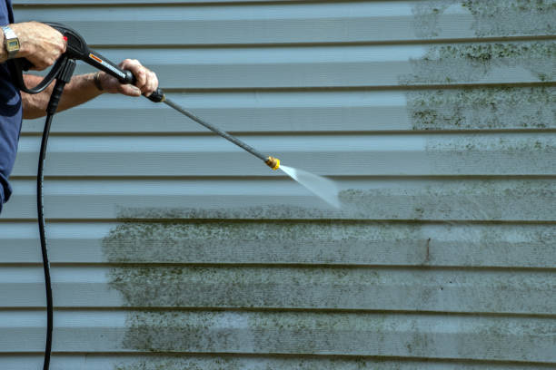 Trusted Cedar Creek, TX Pressure Washing Services Experts
